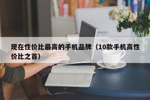 现在性价比最高的手机品牌