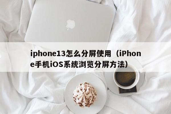 iPhone手机iOS系统浏览分屏方法(iphone13怎么分屏使用)