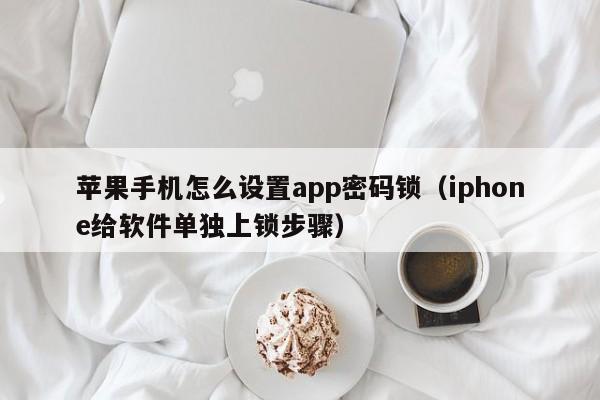 iphone给软件单独上锁步骤(苹果手机怎么设置app密码锁)