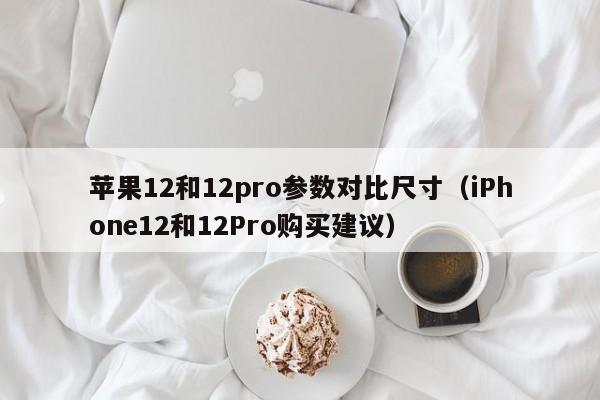 iPhone12和12Pro购买建议(苹果12和12pro参数对比尺寸)