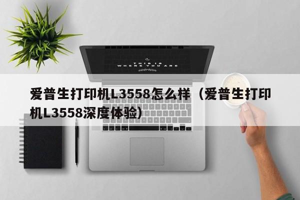 爱普生打印机L3558怎么样