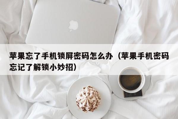 苹果忘了手机锁屏密码怎么办