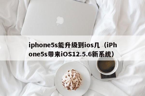 iphone5s能升级到ios几