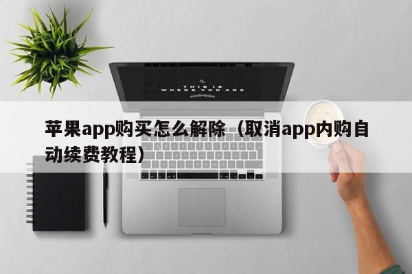 苹果app购买怎么解除