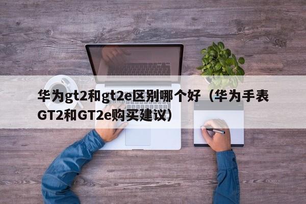 华为gt2和gt2e区别哪个好