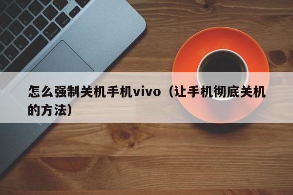 让手机彻底关机的方法(怎么强制关机手机vivo)