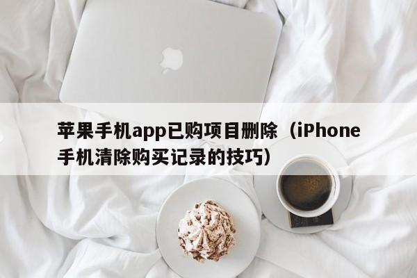 iPhone手机清除购买记录的技巧(苹果手机app已购项目删除)