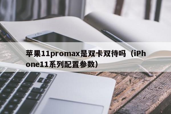 苹果11promax是双卡双待吗