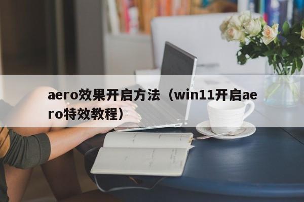 aero效果开启方法