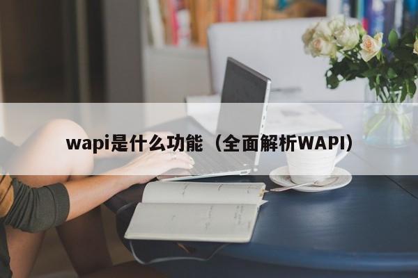 wapi是什么功能