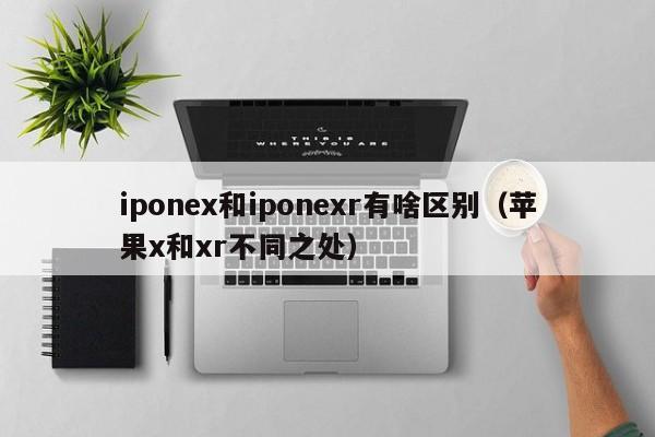 苹果x和xr不同之处(iponex和iponexr有啥区别)