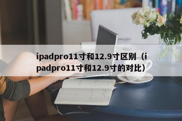 ipadpro11寸和12.9寸的对比(ipadpro11寸和12.9寸区别)