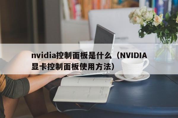 nvidia控制面板是什么