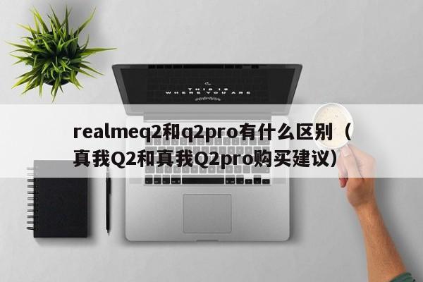 真我Q2和真我Q2pro购买建议(realmeq2和q2pro有什么区别)