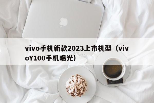 vivo手机新款2023上市机型